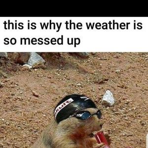 Meet your Posher, Joe